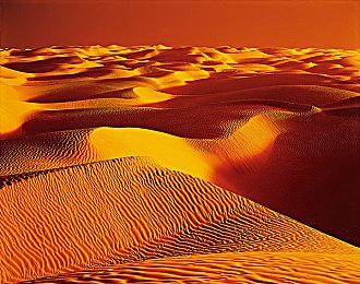 《英雄连3》亚洲实体版预购开启 11月18日正式发售